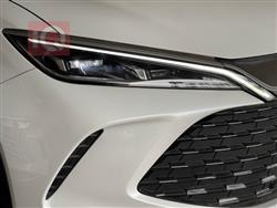 بي واي دي سونغ L DM-i